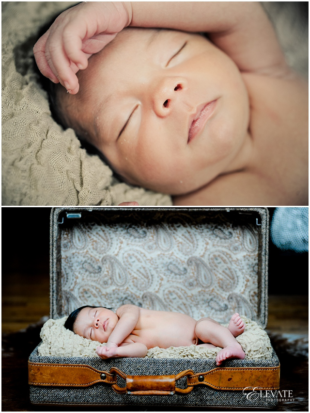 cute newborn portraits
