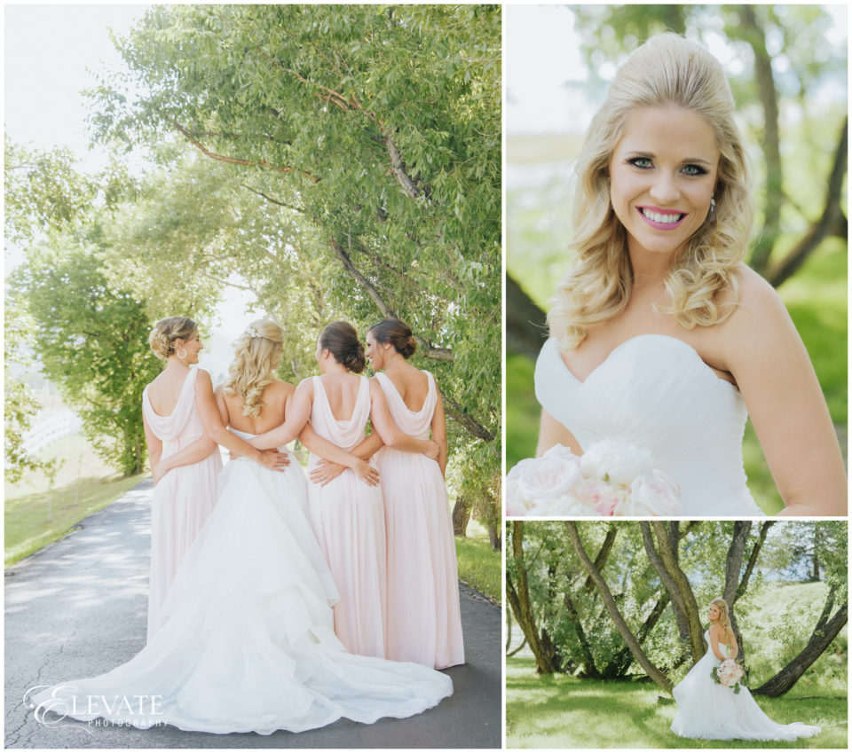 bridesmaids pink dresses back