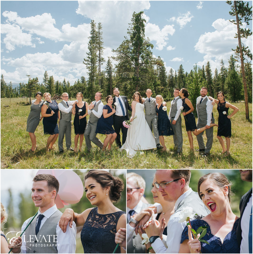 Wedding Party in Meadow
