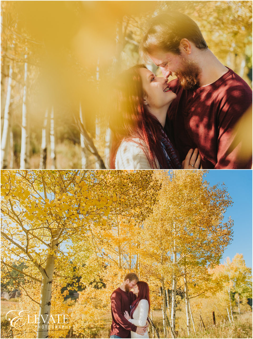 Evergreen Fall Engagement Photos