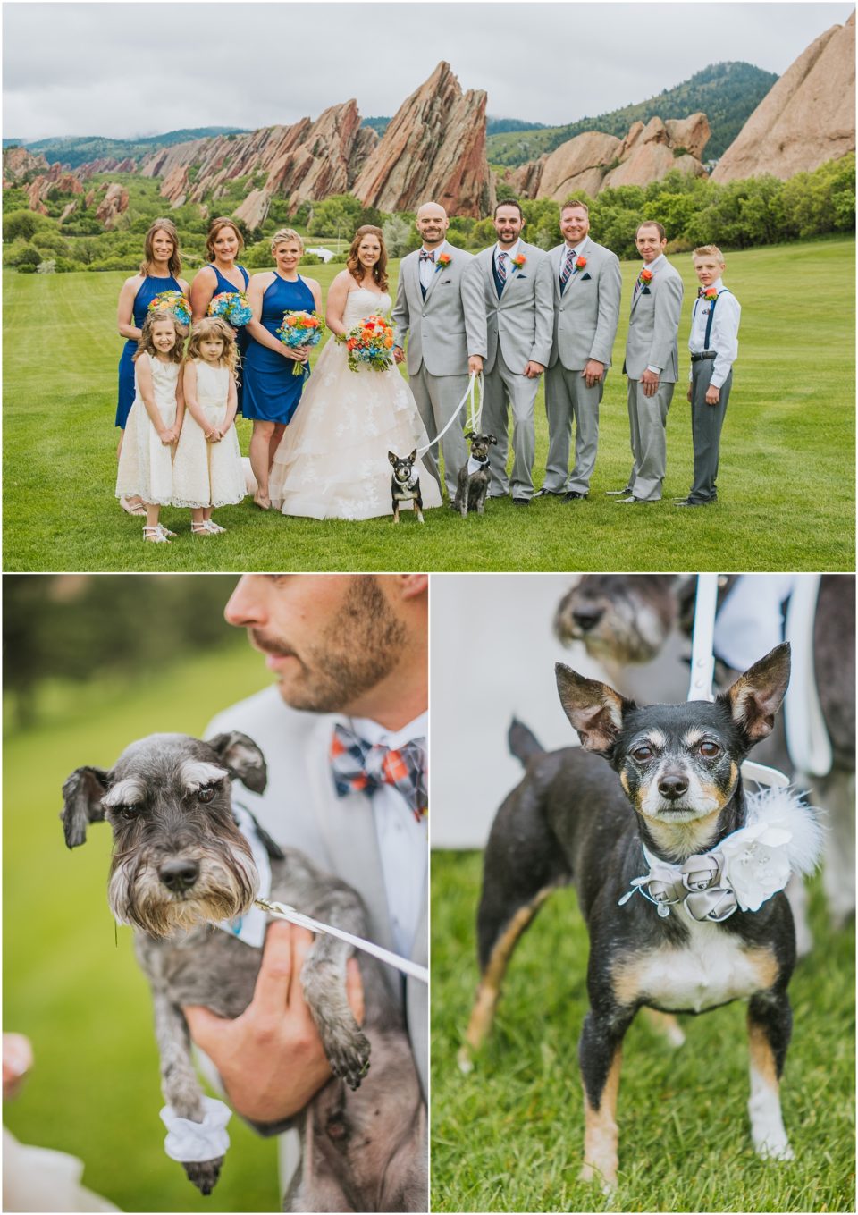 bridesmaids and groomsmen with dogs
