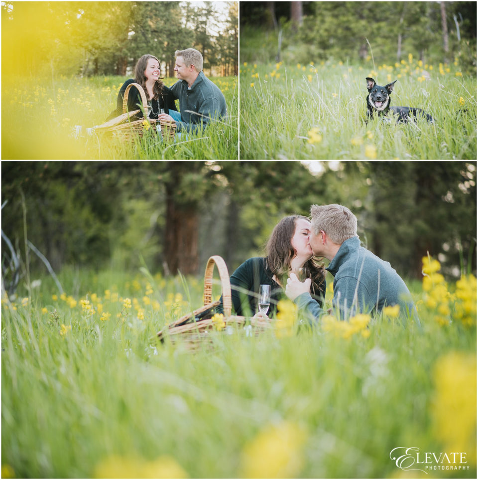 lookout-mountain-park-ashley-and-clint-engagement_0008