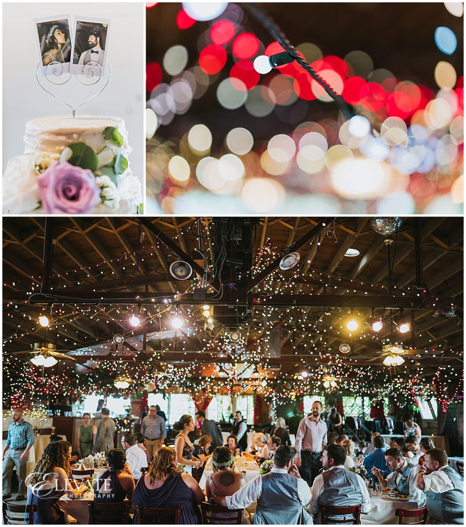 Cheeseman Park and Mercury Cafe Wedding Photos