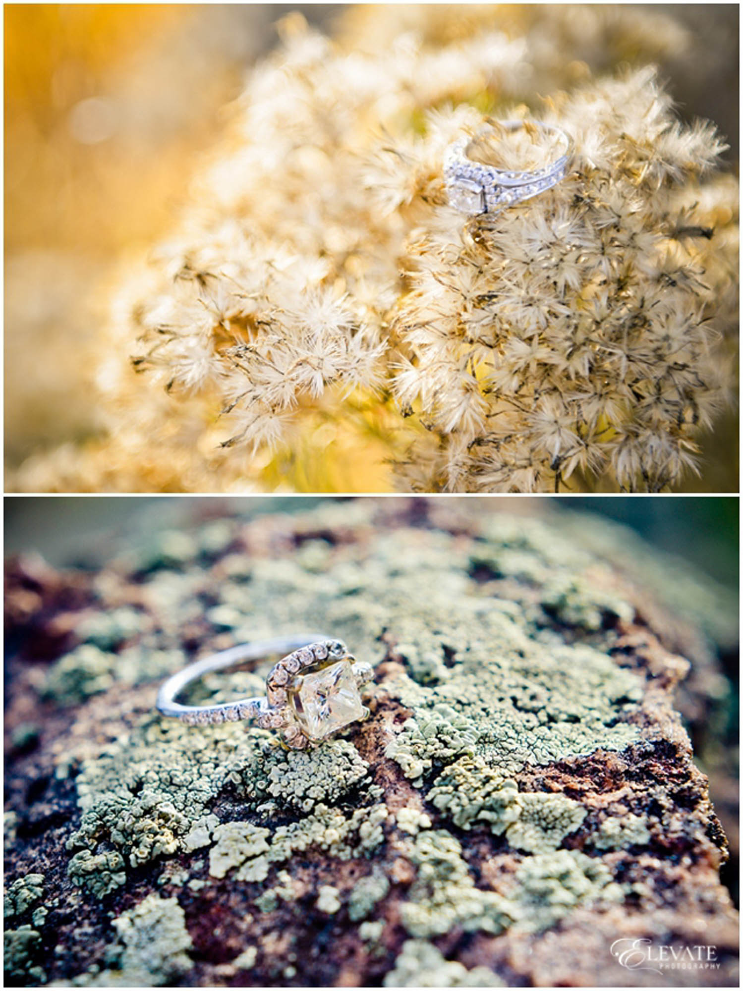 Best Engagement Rings Denver Wedding Photographers Elevate