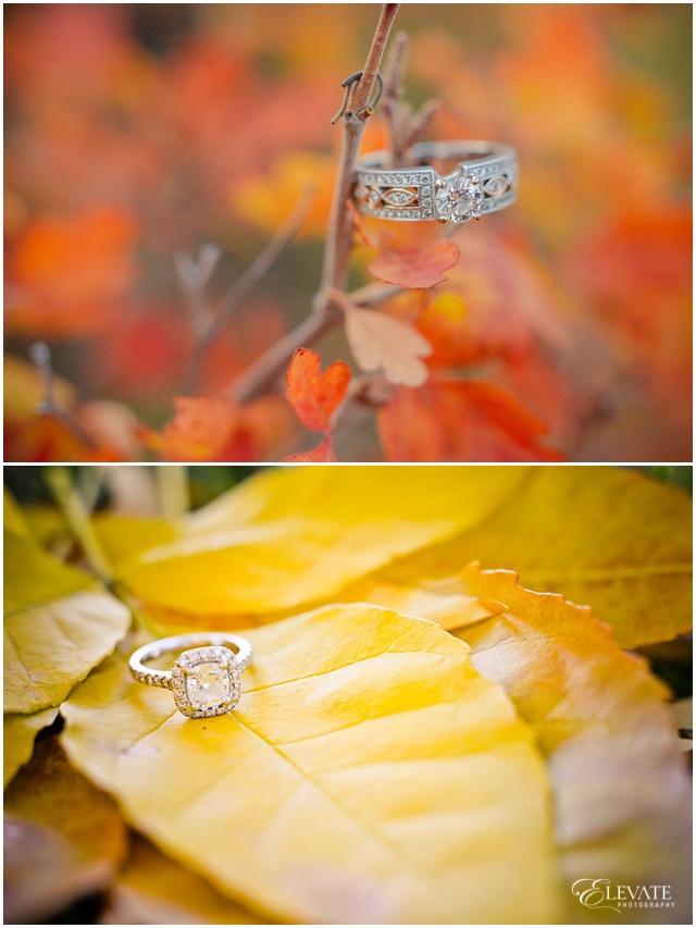 Best Engagement Rings Denver Wedding Photographers Elevate