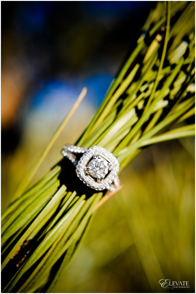 Best Engagement Rings Denver Wedding Photographers Elevate