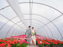 Blanc Wedding Photos Calabrese Greenhouse