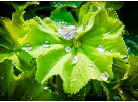 round diamond engagement ring