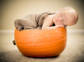 pumkin newborn