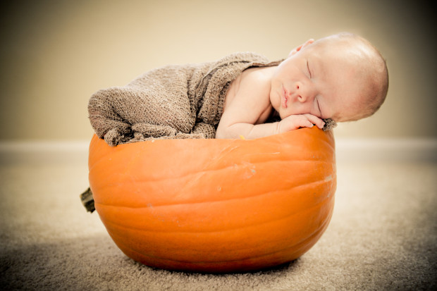 pumkin newborn