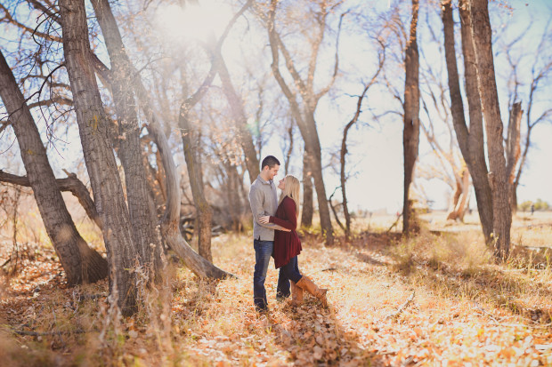 McCabe Meadows Engagement Photos in Parker