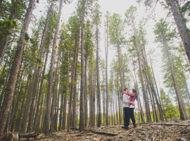 Golden Gate Canyon Engagement Photos