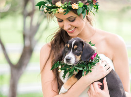 the barn at raccoon creek bridal photos
