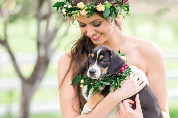 the barn at raccoon creek bridal photos