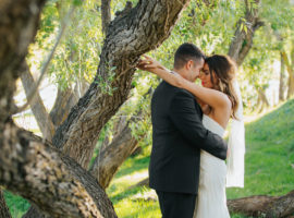 Crooked Willow Farms Wedding Photos