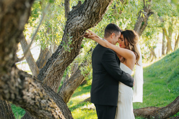 Crooked Willow Farms Wedding Photos