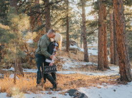 lookout moutnain engagement photos