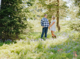 two dog ranch kremmling