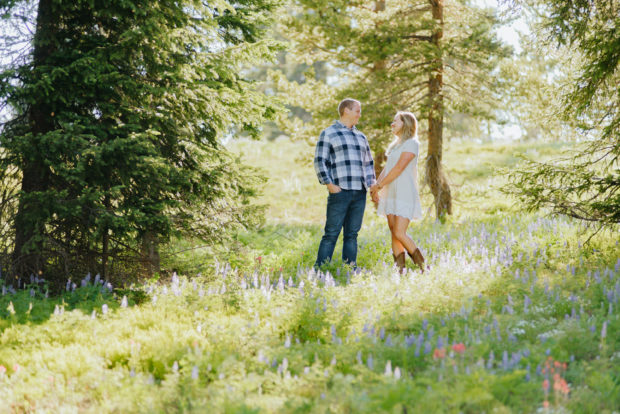 two dog ranch kremmling