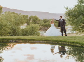 crooked willow farms