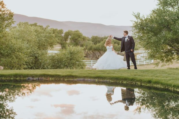 crooked willow farms