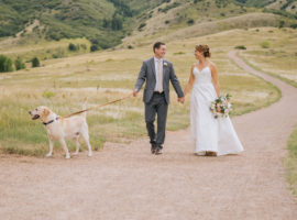 manor house wedding dog