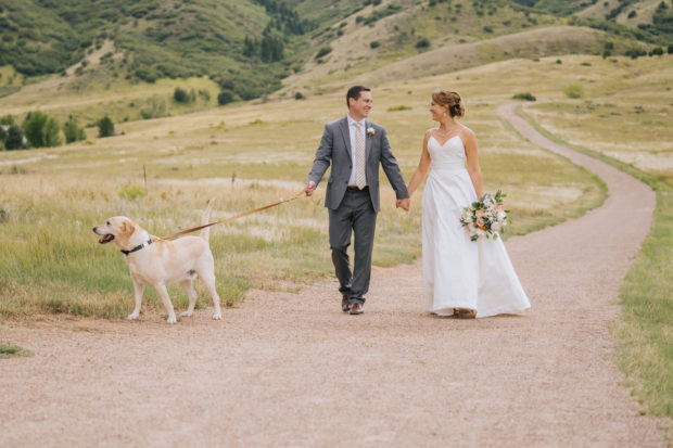 manor house wedding dog