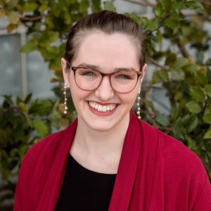 Wedding Photographer