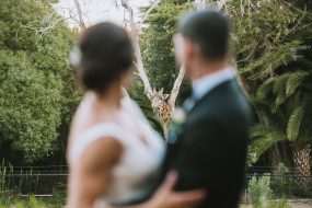 Nate_Wanderlight_Denver_0031