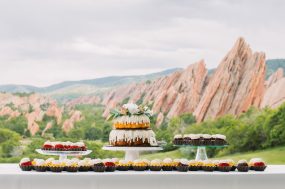 emily-elevate-wedding-photography-0012