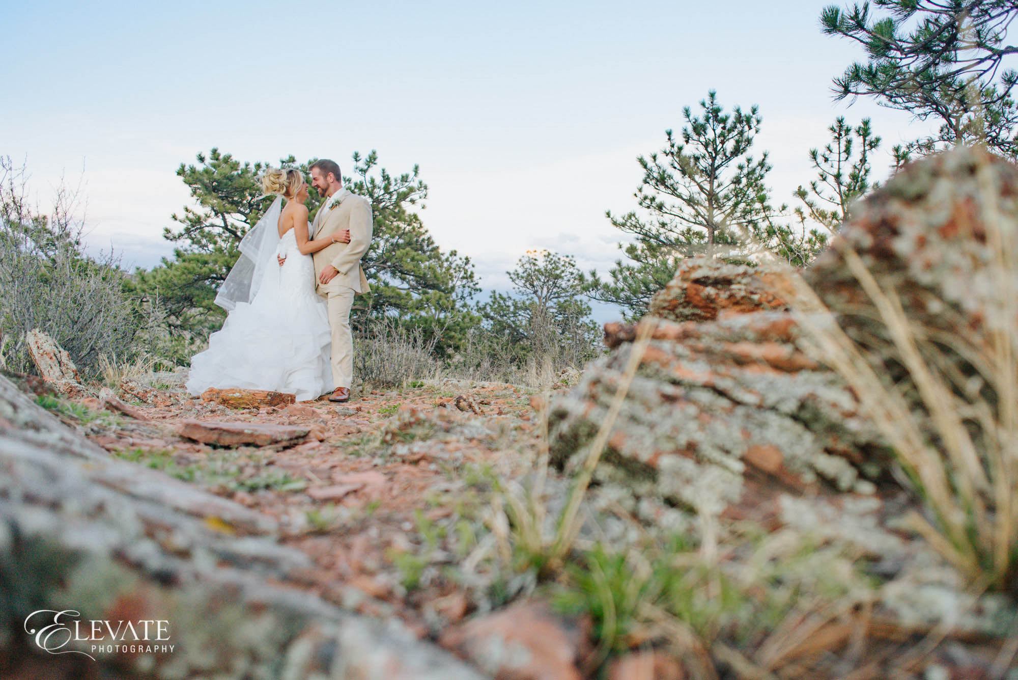 Lyons wedding photos
