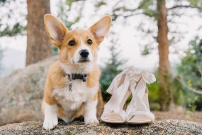 denver-wedding-photographer-getting-ready009