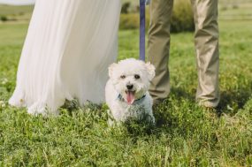 emily-elevate-wedding-photography-0001