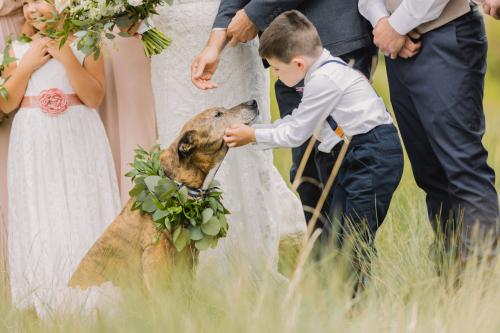 denver-wedding-photographer-bridal-party030